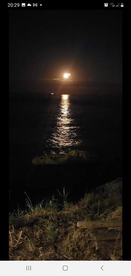 La Magnolia A 500Mt Dal Mare Apartment Marina di San Vito Bagian luar foto
